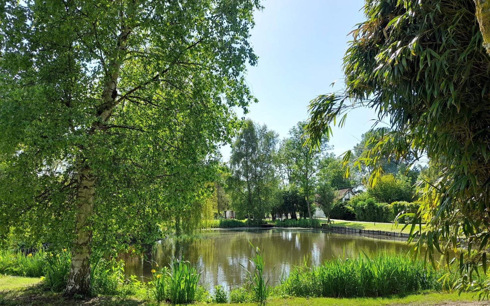 Domaine De L'ermitage * Rue (Somme)
